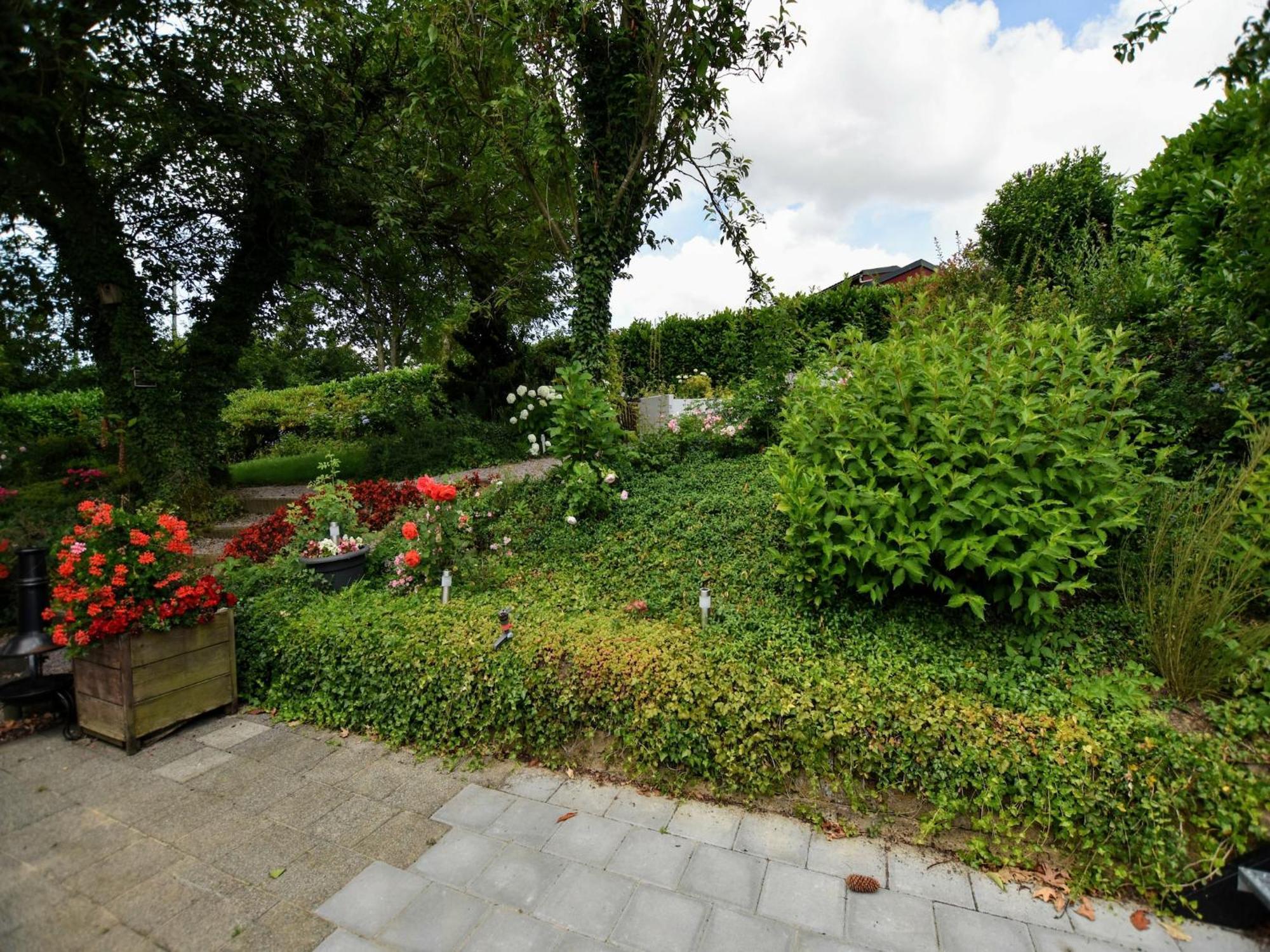 Luxury House In South Limburg Near Forest Walem Exterior foto